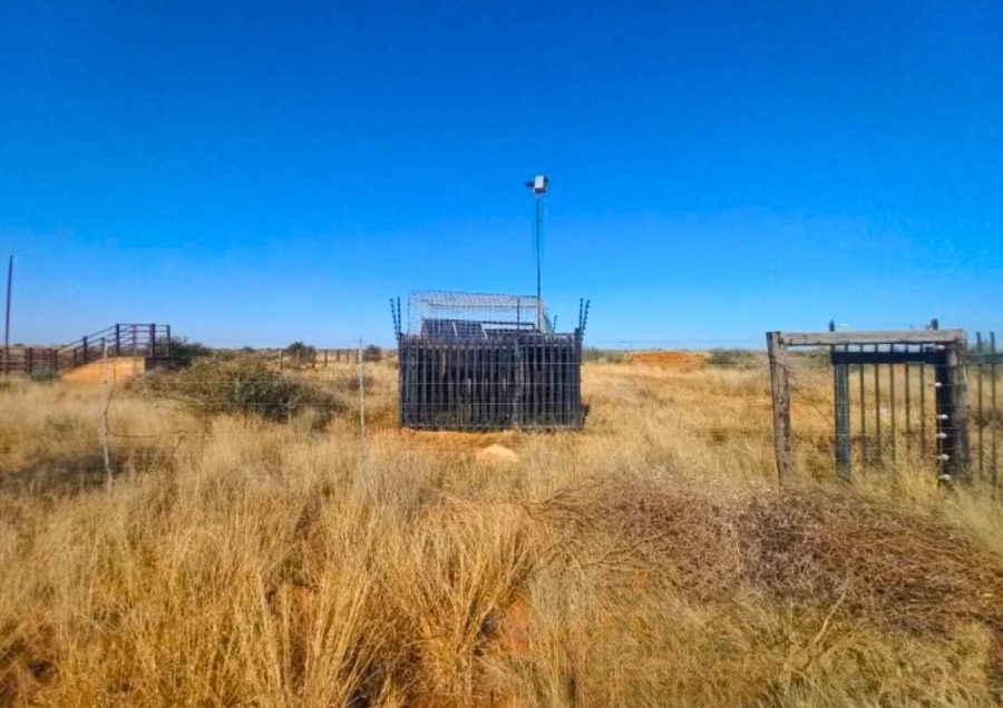 0 Bedroom Property for Sale in Windsorton Northern Cape